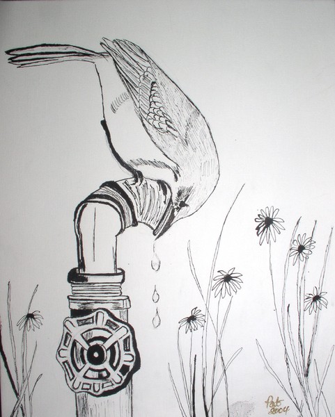 Thirsty Blue Bird