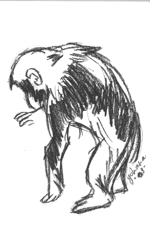 money monkey