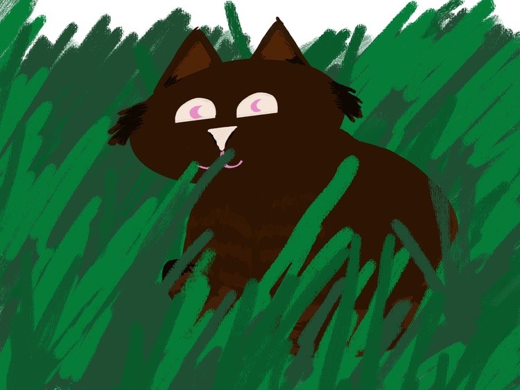 Cat in Grass