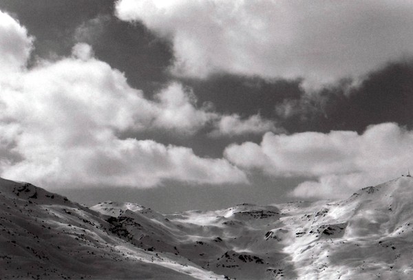 Snowtops