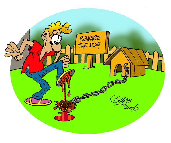Beware the dog