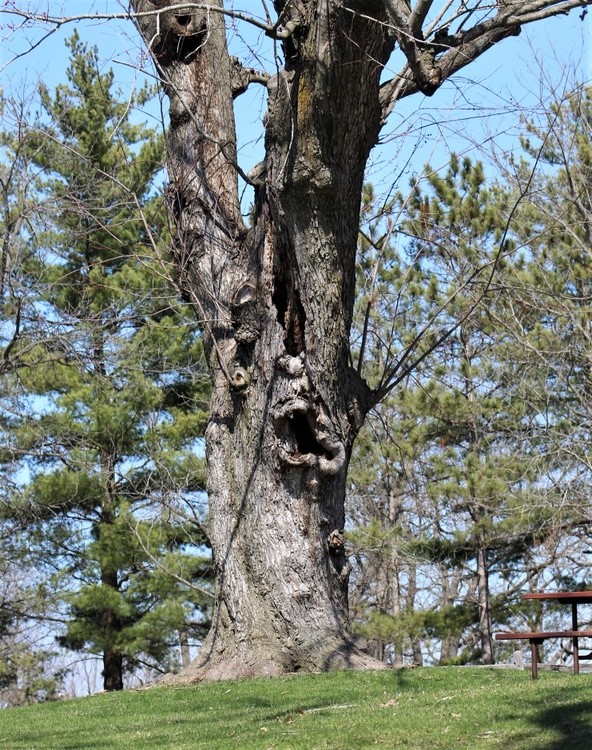 Hidden Face