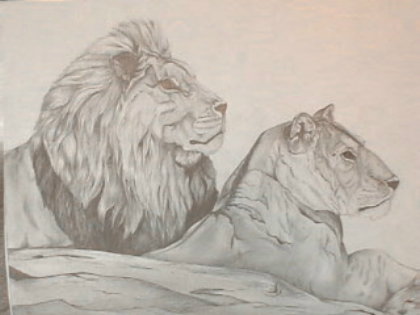 Lion Pair