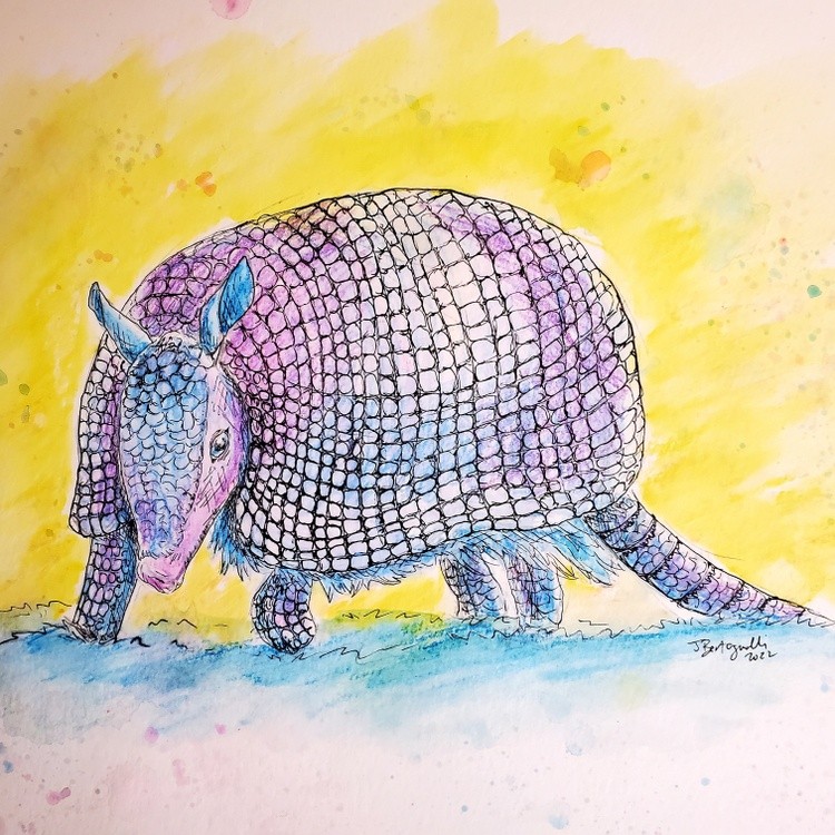 Armadillo