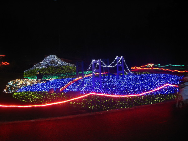Zoolights in Tacoma 2