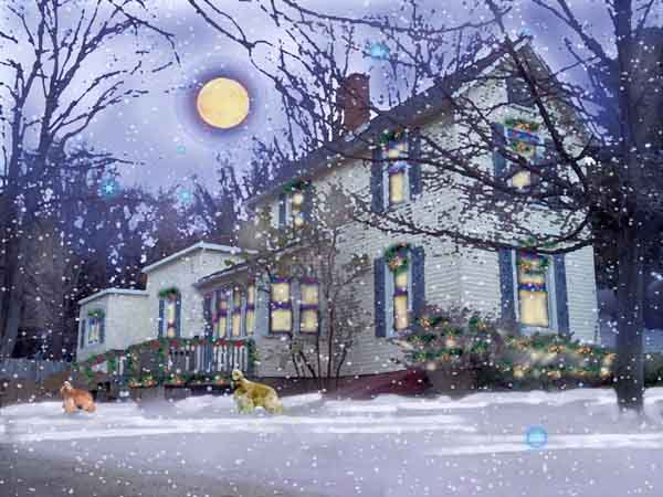 christmas home portrait