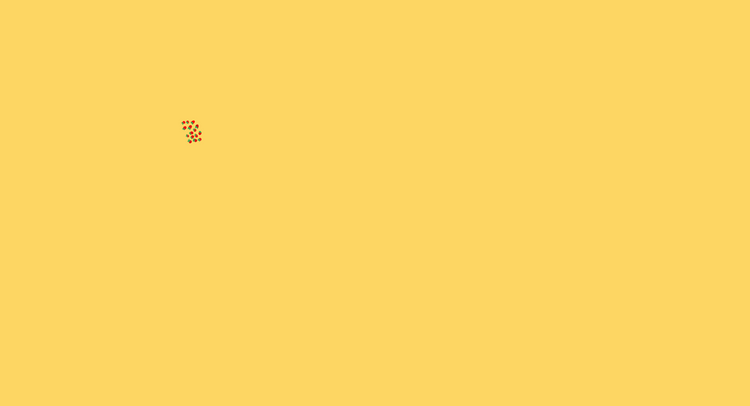 canvas (32)