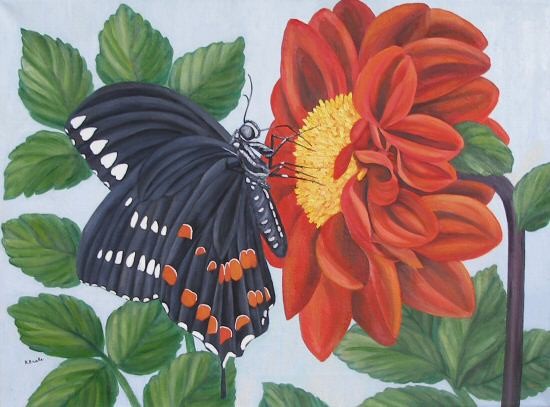 Black Swallowtail Butterfly
