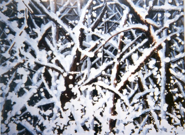 Snow, Snow Everywhere