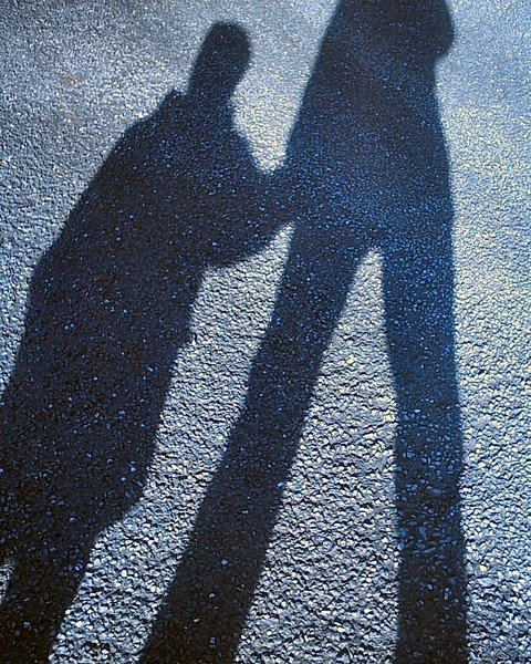 shadowed movement