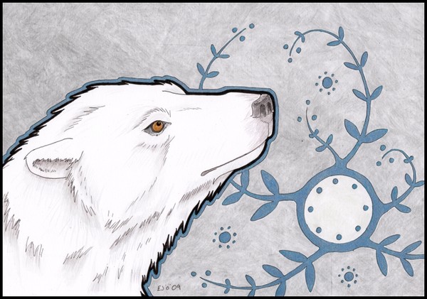 Polar Bear II