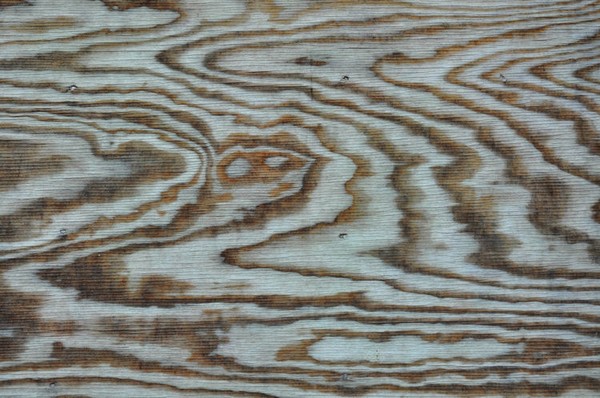 Warped Wood