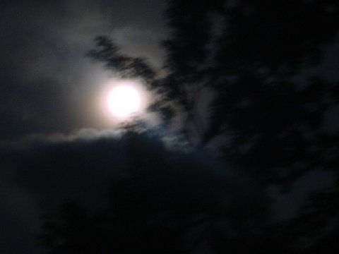Moon of Abstract