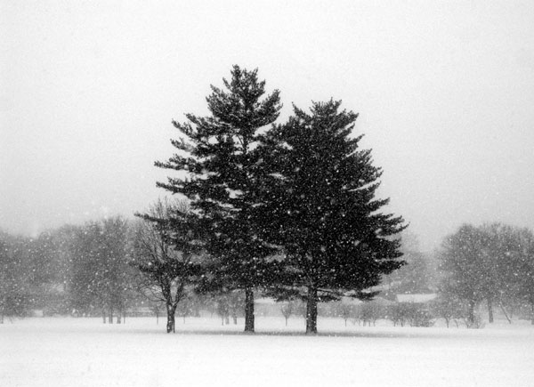 Snow Today