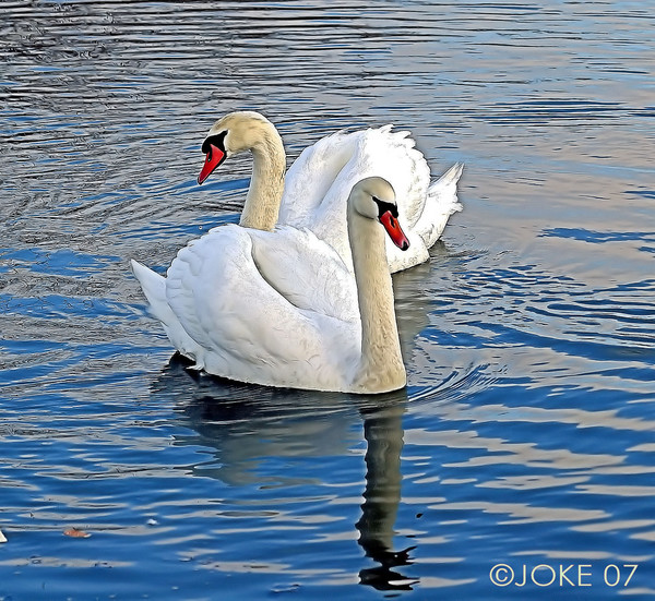 HAVE ALL A PEACE FUL WEEKEND