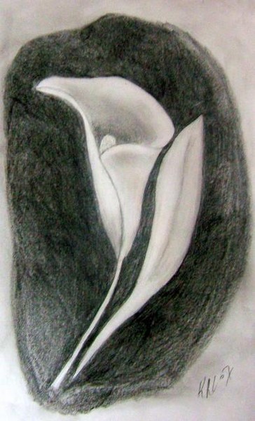 calla lilly