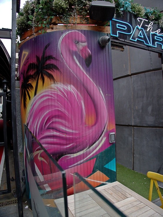 Flamingo