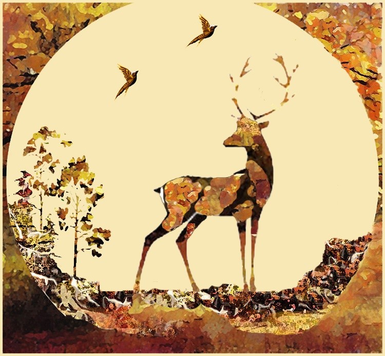 In The Wild III