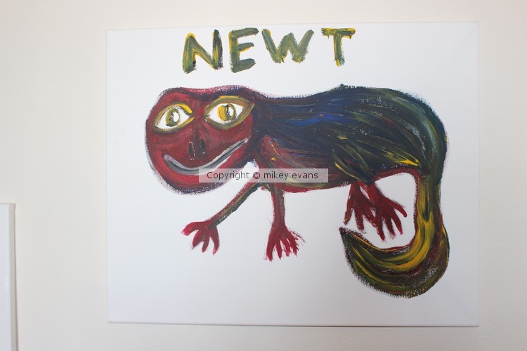 newt