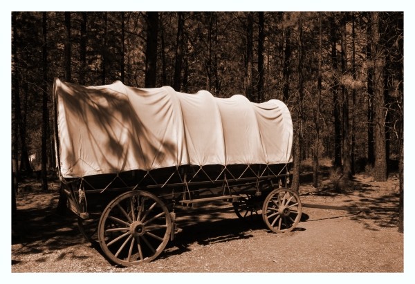 Covered Wagon
