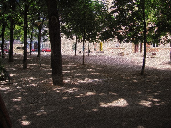 Vienna City park