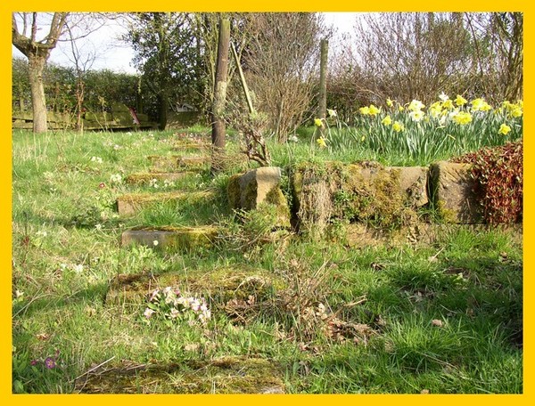 Winter into Spring..