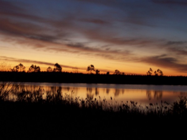 Sunrise in the South