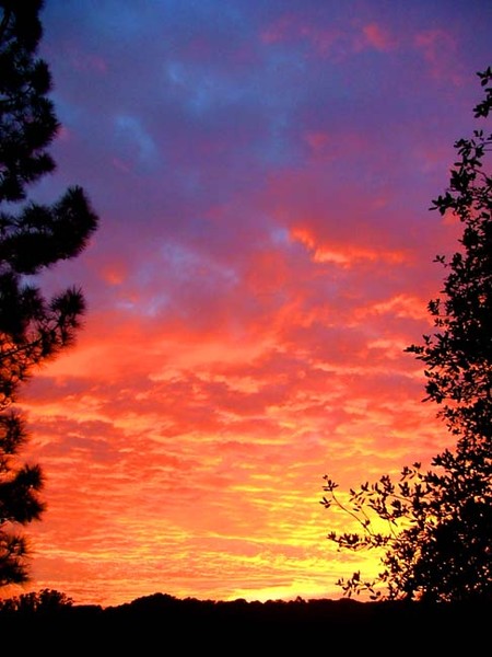 another sunset