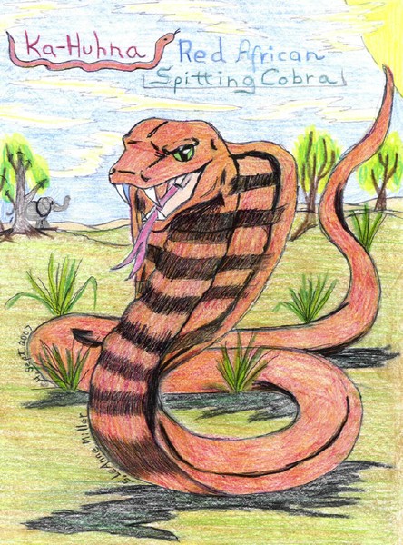 Ka-Huhna: Red African Spitting Cobra