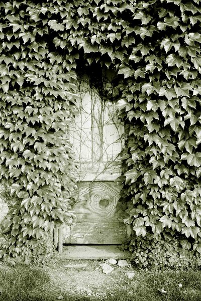The Side Entrance, Santa Monica CA.