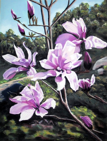 Magnolia Symphany