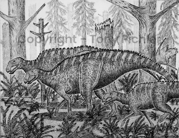 A Late Cretaceous Migration