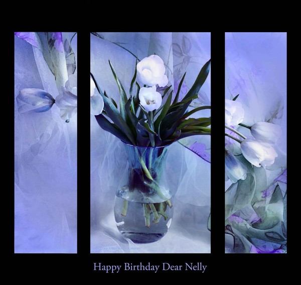 Happy Birthday Nelly