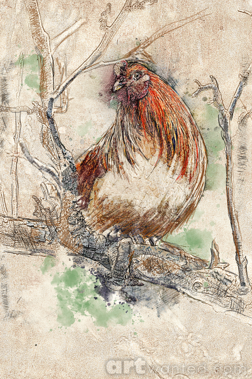 hen 2