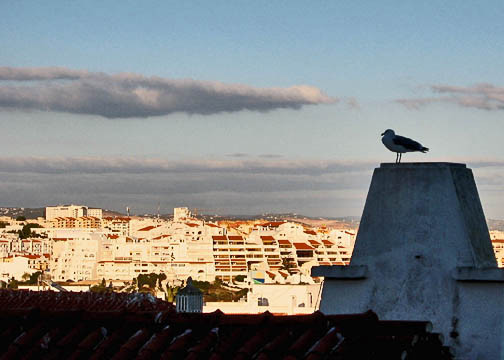 The Watcher