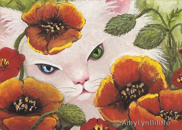 Pretty as Poppies