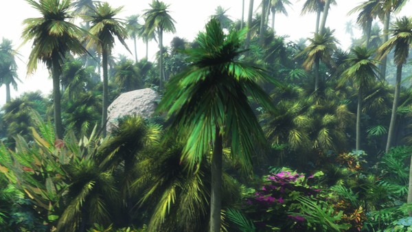 Jungle