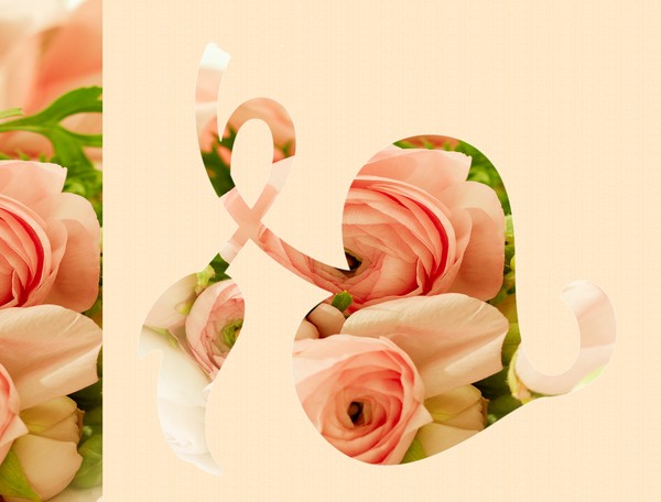 Rose Heart (One)