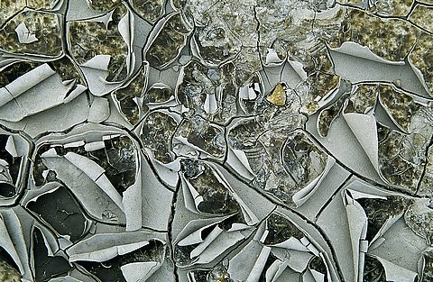 Nature's Chaos