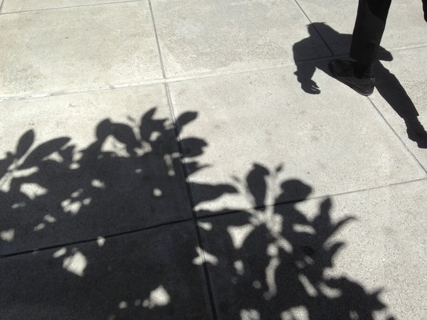 Noon Shadows