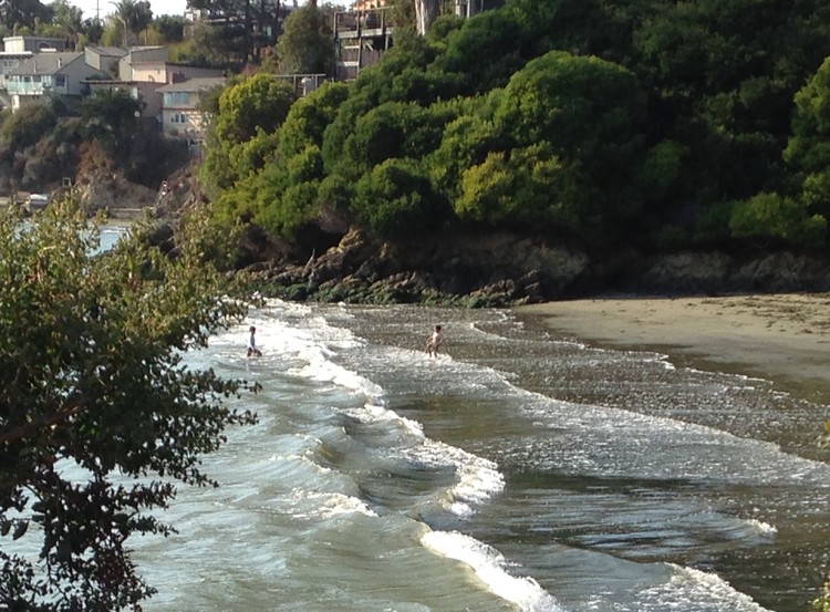 Kids in the Waves