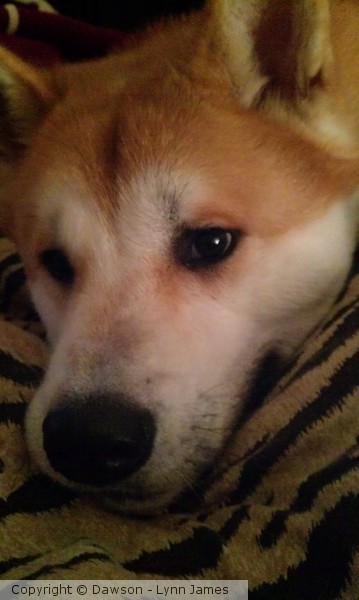 Is It Friday yet?