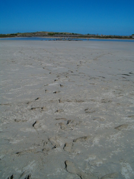 Foot Prints