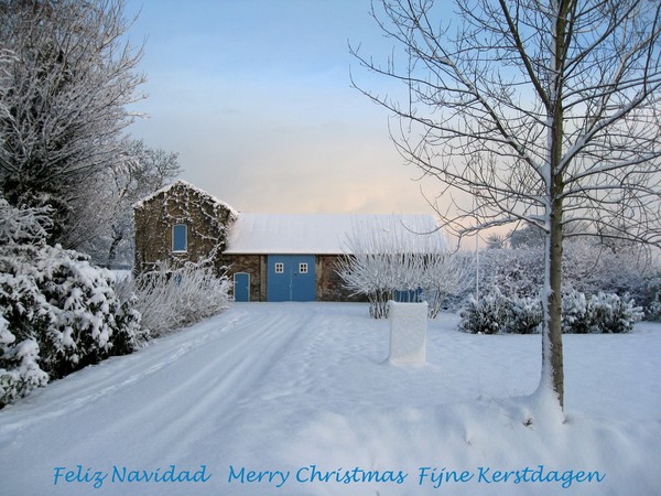 My Gallery dreaming of a White Christmas...