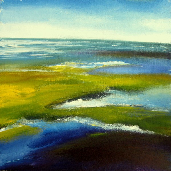 The coast of Zeeland 16