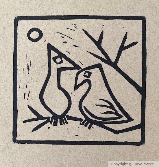 For the Birds 
