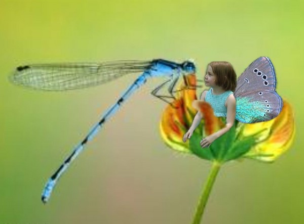 Sharing Secrets