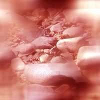 Mystical Vibrant Mangerine