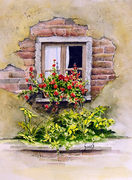 Window Box