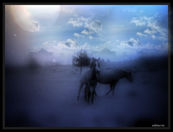  Under the magestic they roam